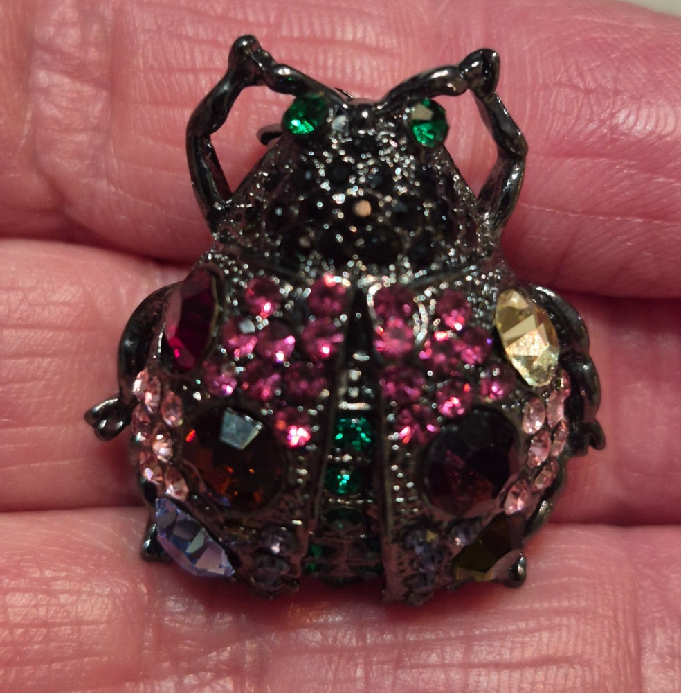 VNTG Gun Metal Multicolor Crystals Lady Bug Glam Brooch in Your Garden Theme