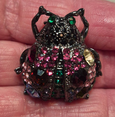 VNTG Gun Metal Multicolor Crystals Lady Bug Glam Brooch in Your Garden Theme