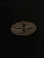 Taxco EMI Sterling Silver Abalone Sand Dollar Brooch Pendant Mexico