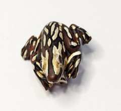 Vintage Polymer Clay Brown & Cream Frog Brooch Pin 1 3/8″ Handmade