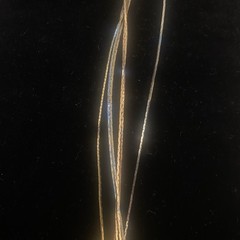 Vintage Medici Multi Tone Necklace 6 Snake Chain Fold Over Clasp Delicate Dainty