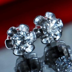 14k white gold earrings 0.50ct natural diamond screwback flower stud 1.95g N3762
