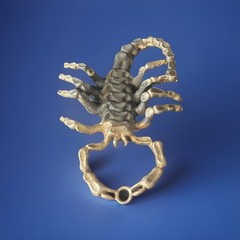 925 Sterling Silver Scorpion Pendant From 1950-1970’s