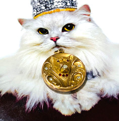 U*N*U*S*E*D* OUTSTANDING Victorian Paste GF *BULLDOG* Locket EXCELLENT CONDITION