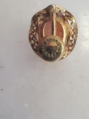 Vintage Sorrento 12K Gold Filled Cabochon Angel Skin Coral Screw Back Earrings