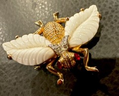 Jomaz Gold and white wings Fruit Salads Bug fly beautiful and rare!!