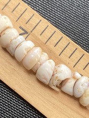 Tiger Puka Shell Necklace Beach Surfer 14.5” Collar white & brown specks vintage
