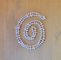 Rare 56in Pink Mother Of Pearl Polished Shell Single Strand Beaded Necklace