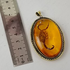 Amber scorpion pendant, natural insect fossil, vintage archaeological jewelry