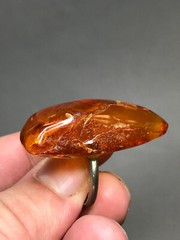 Natural OLD Antique BUTTERSCOTCH Baltic Amber Stone Ring 5,7 gr