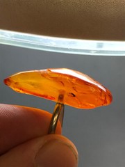 Natural OLD Antique BUTTERSCOTCH Baltic Amber Stone Ring 5,7 gr