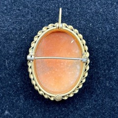 Antique Gold Filled Hand Carved Shell Cameo Portrait Brooch Pendant Pin