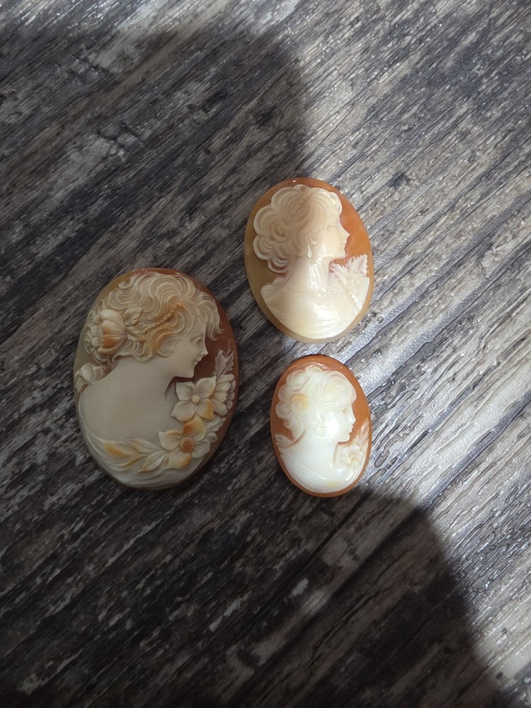 Vintage Cameo Profile Gorgeous Shell Carved Floral adorned Victorian Lady Lot