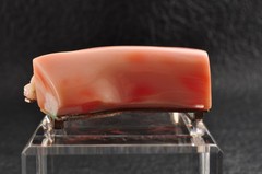 Pink coral OBIDOME brooch “Cherry blossom and rose” Certificate, (47mm 120.0ct)