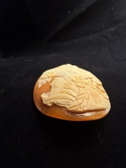 GIGANTIC Antique Victorian Loose Carved Shell Cameo Finely Carved – 58 X 45mm