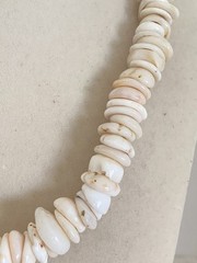 Vintage Large Hawaiian Puka Shell Choker Necklace Barrel Clasp 99 g 3.5oz 17″