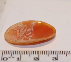 (2) Vintage Oval Shell Cameos 33×23 mm