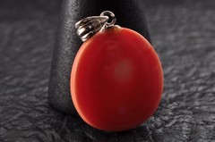Japan vintage Coral Carved 5 items Pendant (66.0ct) Certificate Japanese motif.