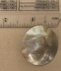 Vintage MOTHER OF PEARL Earrings Large Abalone Circles Pierced post Mermaid BOHO