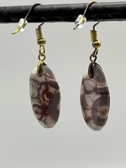 Birdseye Jasper Gold French Wire Earrings lightweight!