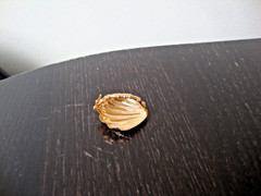VTG 1970s SCALLOPED SEASHELL GOLD TONE HINGED W/ SAFETY CATCH DRESS/SCARF CLIP