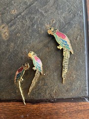 Cloisonné Enamel Parrot Brooch Pin And Earrings Set Gold tone Tropical