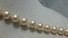 Vintage Long Creamy Beige Knotted Glass Bead Necklace Seashell Clasp 37″