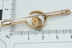 ANTIQUE ENGLISH VICTORIAN 15K GOLD PLATINUM RUBY OWL & MOON BROOCH c1900