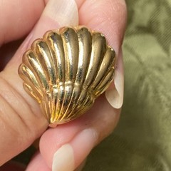 Vintage Ocean Sea Shell Gold tone Hinged Scarf Clip 🐚