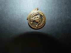 Vintage Goldtone Equestrian horse horseshoe cufflink set chain & bullet back #95