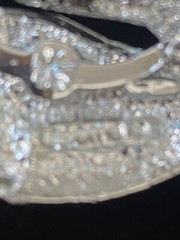 Vintage GERRYS Textured Silver-toned Swan Markasite Eye Brooch