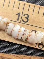 Tiger Puka Shell Necklace Beach Surfer 14.5” Collar white & brown specks vintage
