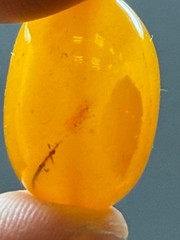 NATURAL OLD ANTIQUE YELLOW BUTTERSCOTCH BALTIC AMBER BEAD 4,2 gr