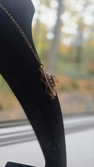 Vintage gold toned filigree pendant necklace with pink faux fire cabochon opal