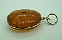 VINTAGE ANTIQUE BALTIC AMBER PENDANT W/INSECT BUG FOSSIL & GOLD TONE WIRE FRAME