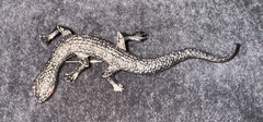 VINTAGE GECKO/LIZARD BROOCH/PIN SILVER 3.75 INCHES MARCASITE