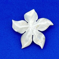 Mother of Pearl Flower Jewelry Lot Brooch Clip On Earrings MOP Floral