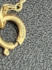 PPC Princess Pride Creations 1/20 14k Gold Filled St. Mary Locket Photo Pendant