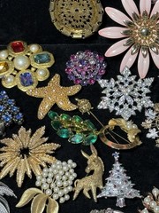 Costume Jewelry Brooch Lot Bakelite, Eisenberg, Jay Strongwater, Swarovski, JJ