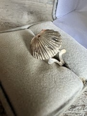 Sterling Silver 925 Shell Cartilage Ring Sz 8.5 #7757