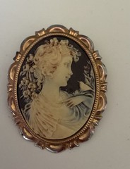 Vintage Cameo Brooch 2’. X 1.5’ in