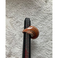 VTG Ring Brown Natural Turbo Shell Hand Carved in One piece Pinky Finger Sz.3