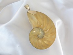Huge Sterling Silver 925 Nautilus Shell Statement Pendant