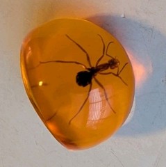 AMBER LUCITE RING SIZE APROX 8.5 With ANT ENCASED IN RESIN