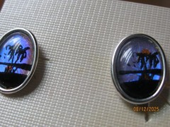 GENUINE BUFFALO WINGS BY HOFFMAN EARRING SET VINTAGE SCREW ON STYLE
