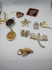 Mixed Jewelry Lot of Dragon Fly. Pendant. Butterfly Brooch Pin.