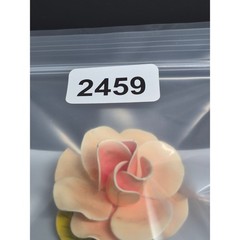 Vintage Rose Brooch Peach Pink Enamel Flower Pin Floral Botanical
