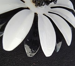 Vintage Black & White Double Layered Daisy Flower Brooch Pin 3″ Mod 60s Retro