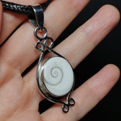 Natural Shiva Eye Shell Sterling Silver Pendant