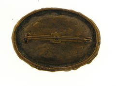 Vintage Chunky Brass Tone Metal Mixed Genuine Gemstone Chip Encrusted Oval Pin